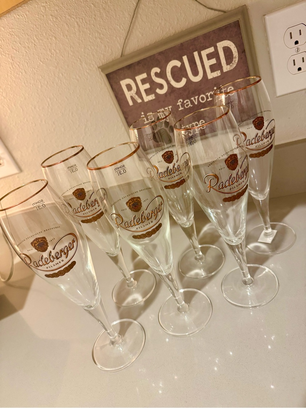 Gold-Rim Radeberger Pilsner Glasses- Set of 6